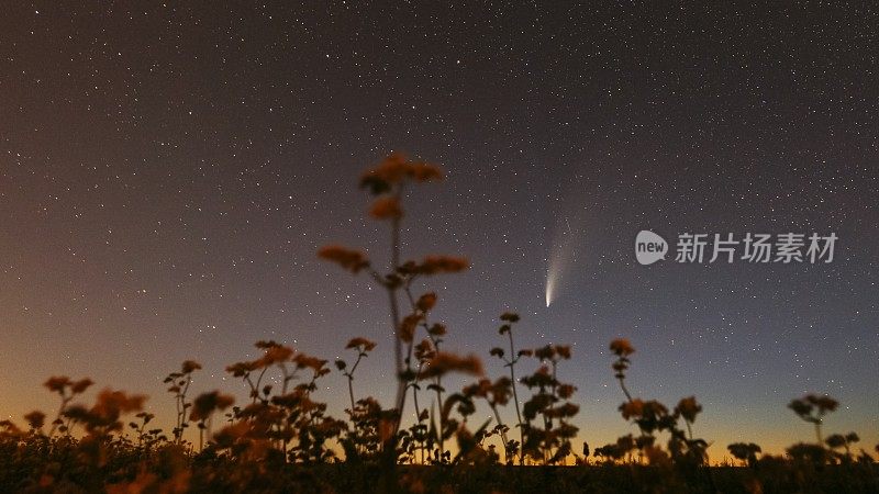 新彗星C 2020 F3在夜空星空开花荞麦。七月的夜星。1.04亿公里远的彗星。4K时间间隔超延时超延时，运动